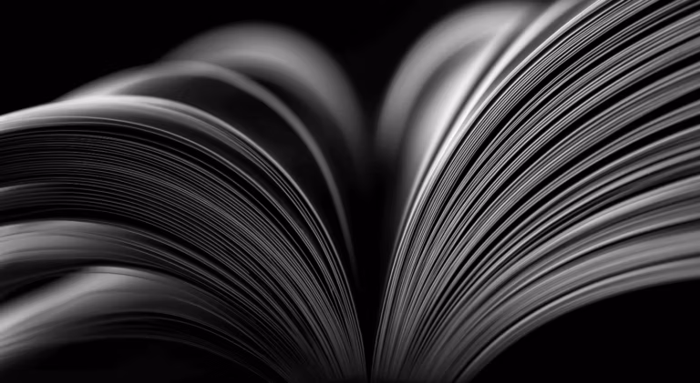 beautiful black and white photo of the spine of a book. The pages flurred romatincally